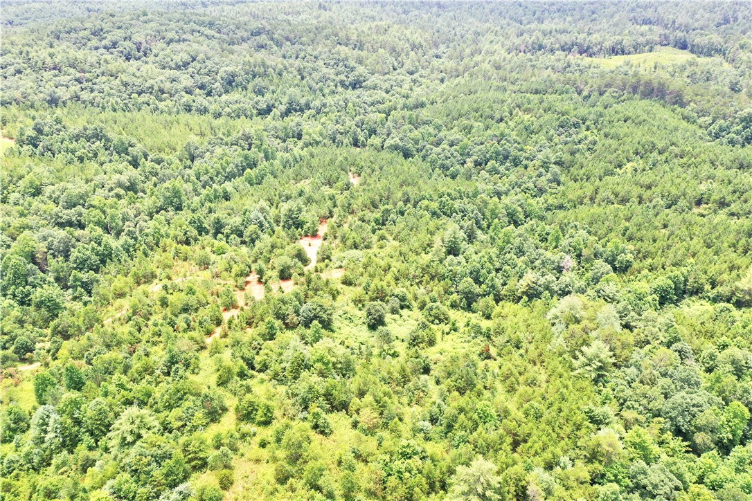 0 Verner Mill Road Mountain Rest, SC 29664 - Photo 14 of 42 Gallery Image 14