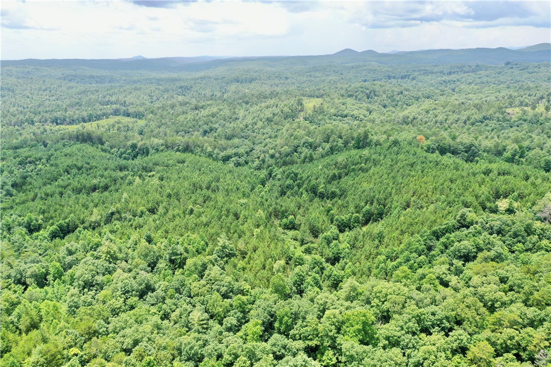 0 Verner Mill Road Mountain Rest, SC 29664 - Photo 15 of 42 Gallery Image 15