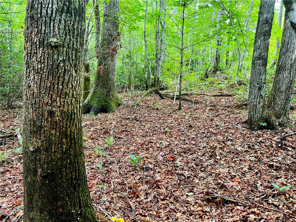 0 Verner Mill Road Mountain Rest, SC 29664 - Photo 16 of 42 Gallery Image 16