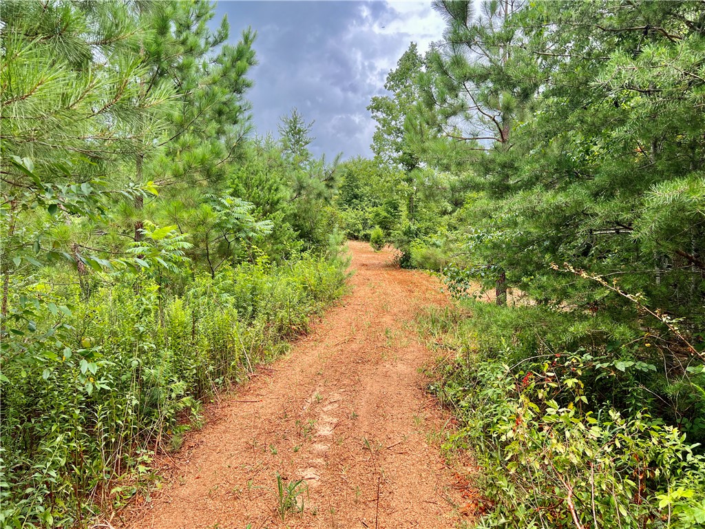 0 Verner Mill Road Mountain Rest, SC 29664 - Photo 18 of 42 Gallery Image 18