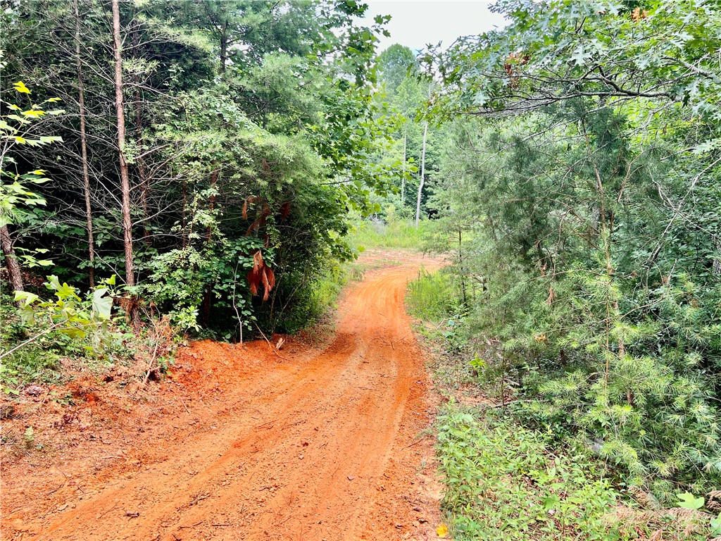 0 Verner Mill Road Mountain Rest, SC 29664 - Photo 19 of 42 Gallery Image 19