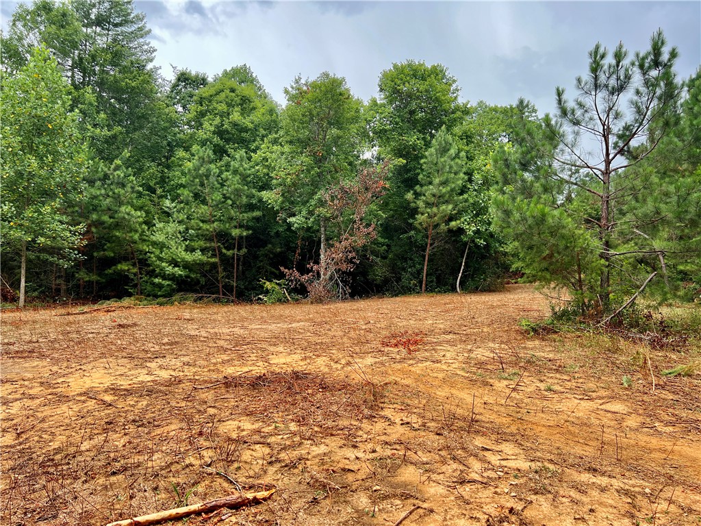 0 Verner Mill Road Mountain Rest, SC 29664 - Photo 20 of 42 Gallery Image 20
