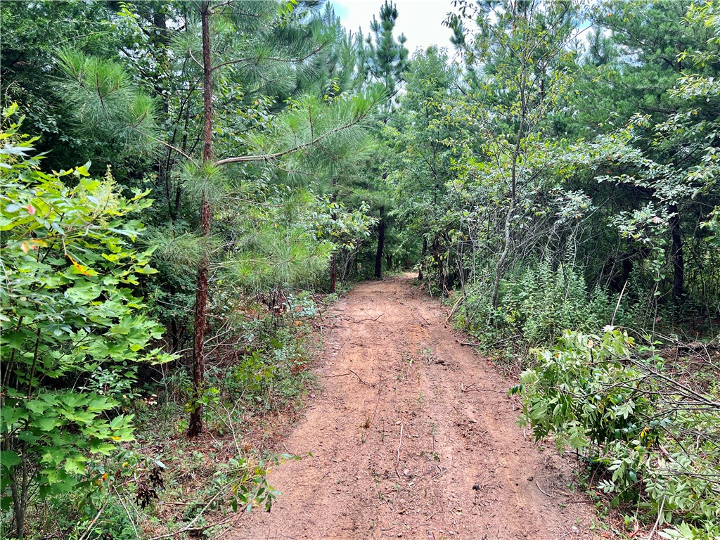 0 Verner Mill Road Mountain Rest, SC 29664 - Photo 21 of 42 Gallery Image 21