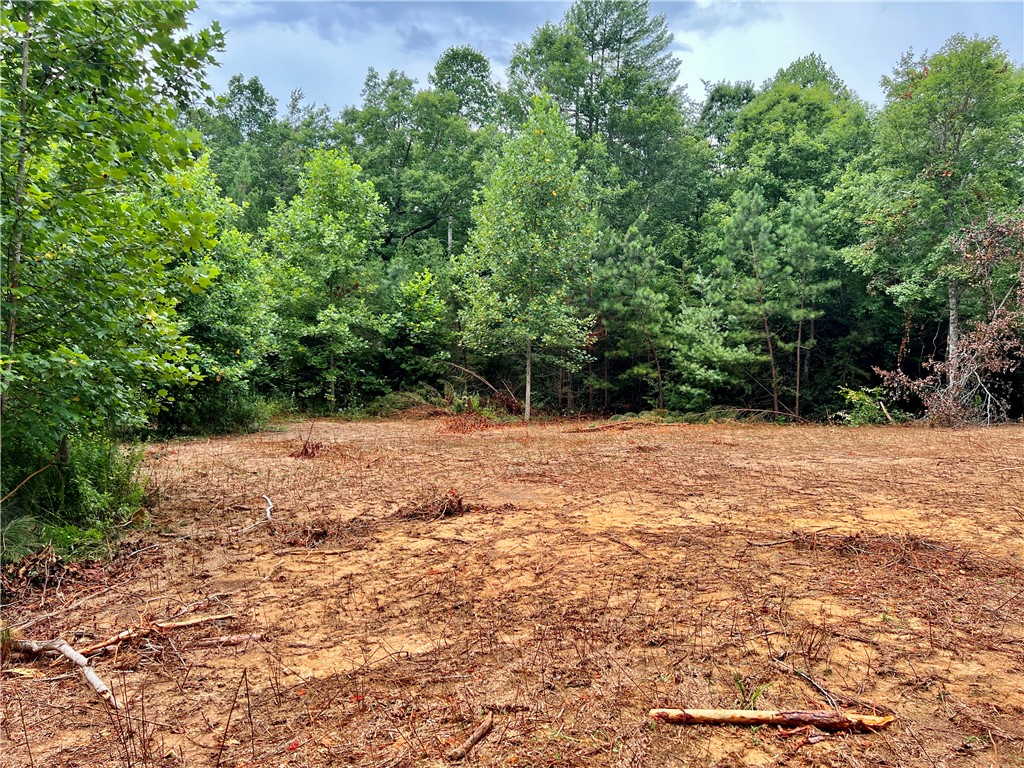 0 Verner Mill Road Mountain Rest, SC 29664 - Photo 22 of 42 Gallery Image 22
