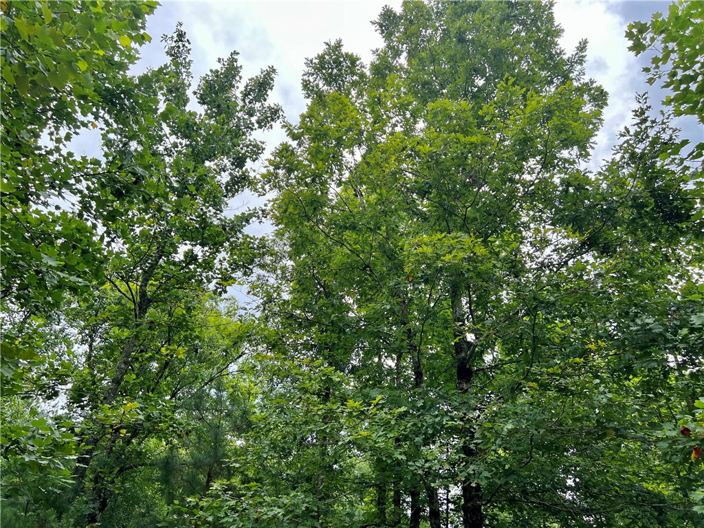 0 Verner Mill Road Mountain Rest, SC 29664 - Photo 23 of 42 Gallery Image 23