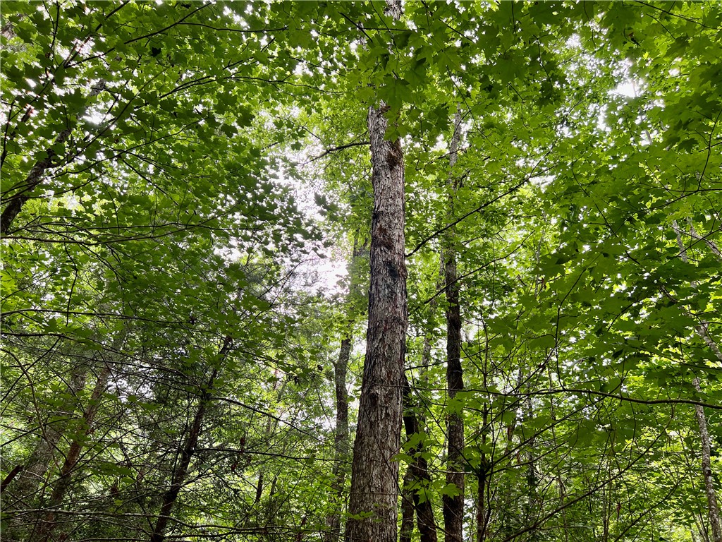 0 Verner Mill Road Mountain Rest, SC 29664 - Photo 25 of 42 Gallery Image 25
