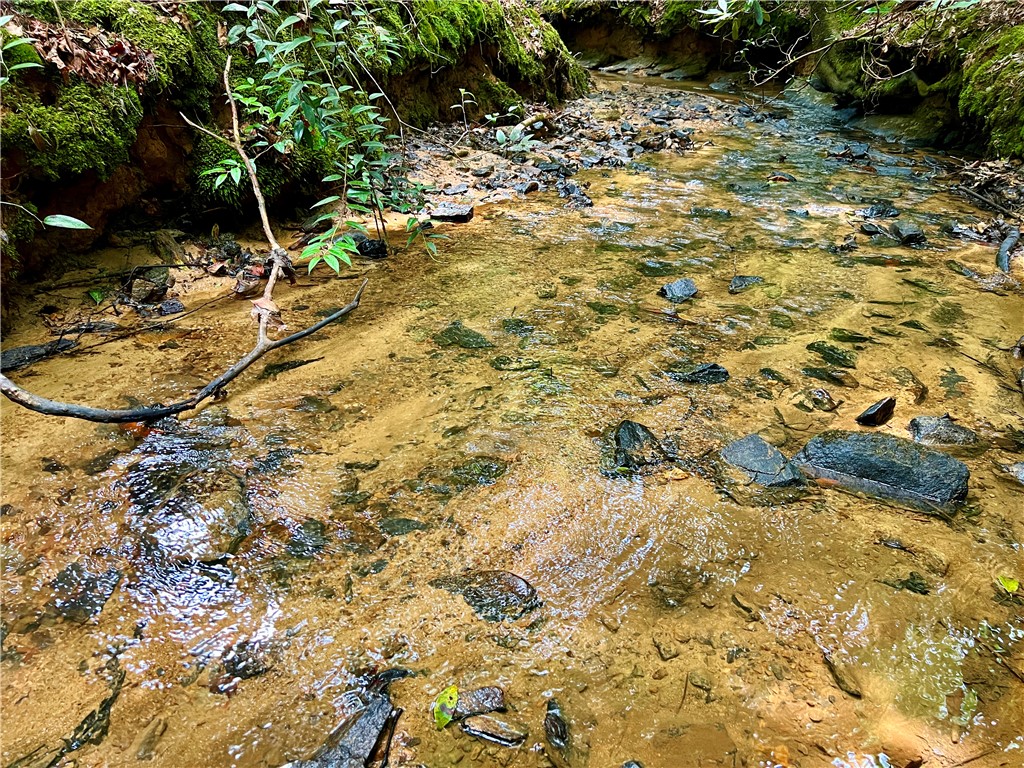 0 Verner Mill Road Mountain Rest, SC 29664 - Photo 26 of 42 Gallery Image 26