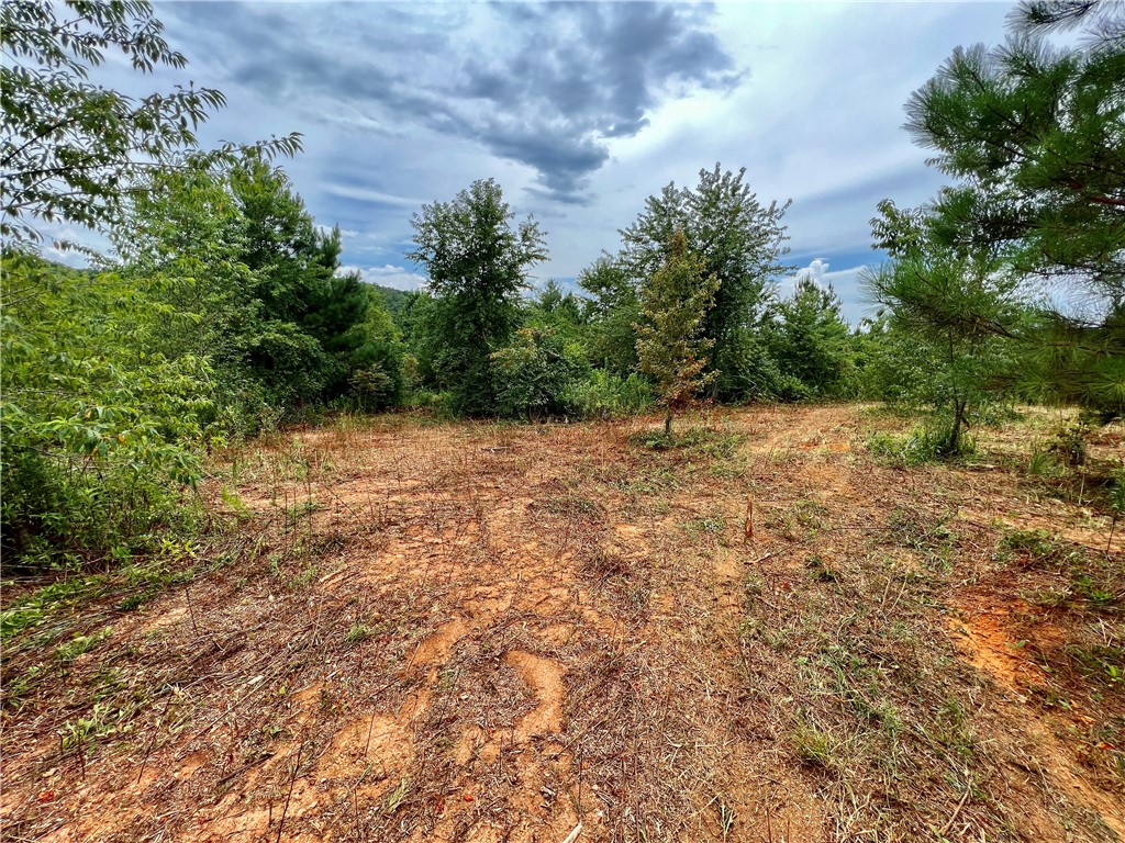 0 Verner Mill Road Mountain Rest, SC 29664 - Photo 27 of 42 Gallery Image 27