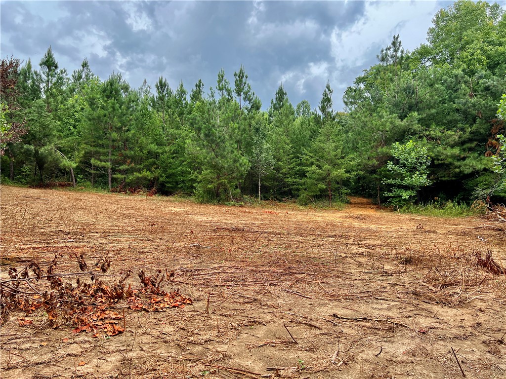 0 Verner Mill Road Mountain Rest, SC 29664 - Photo 31 of 42 Gallery Image 31