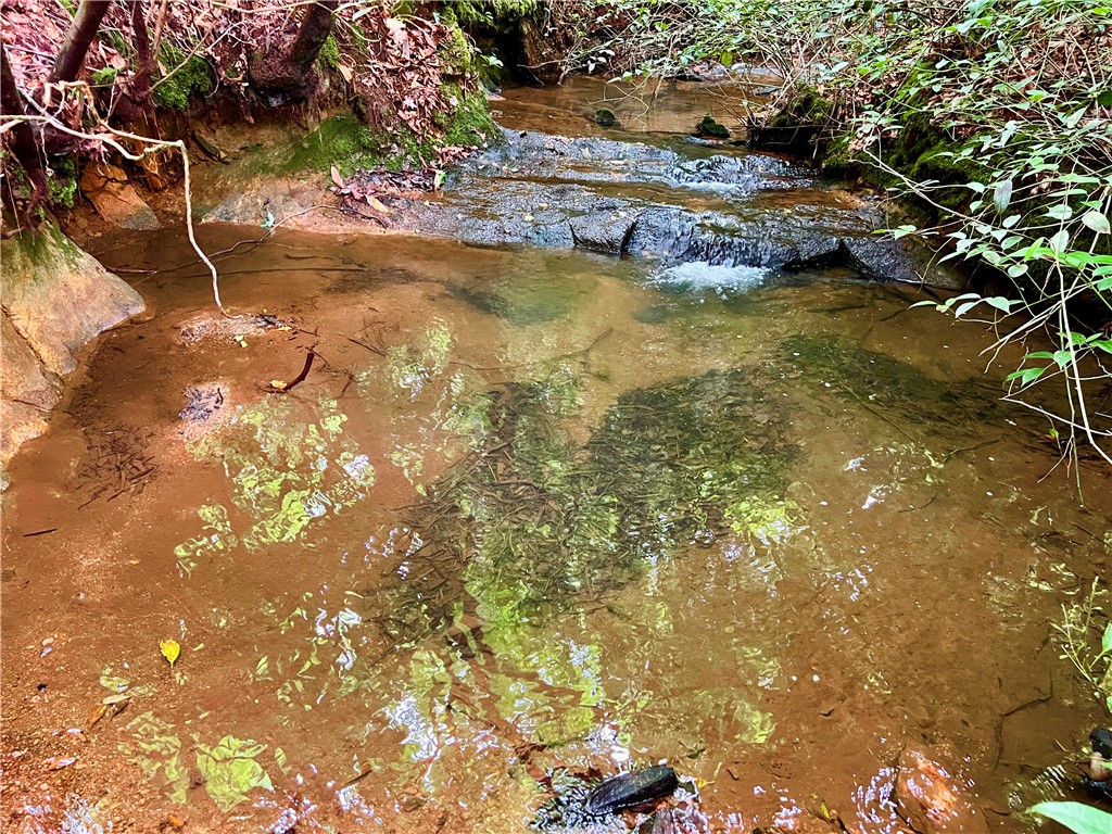 0 Verner Mill Road Mountain Rest, SC 29664 - Photo 33 of 42 Gallery Image 33