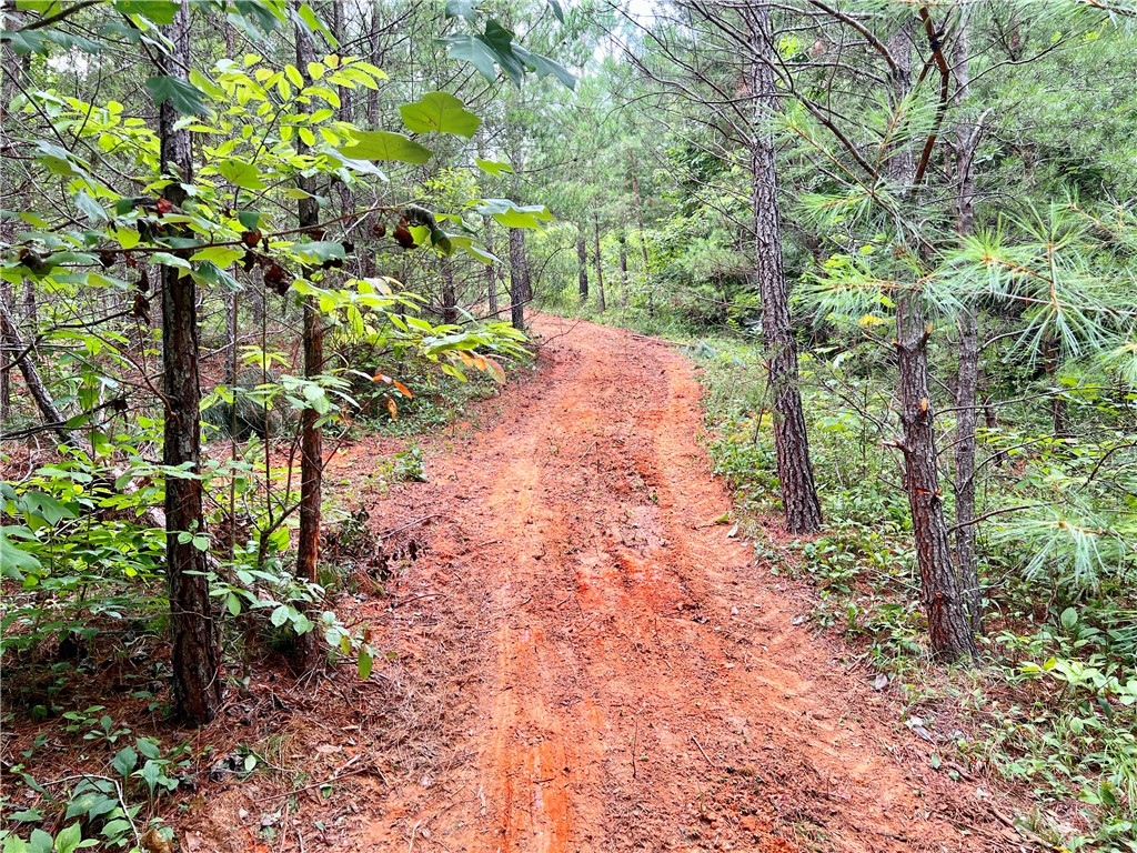 0 Verner Mill Road Mountain Rest, SC 29664 - Photo 34 of 42 Gallery Image 34