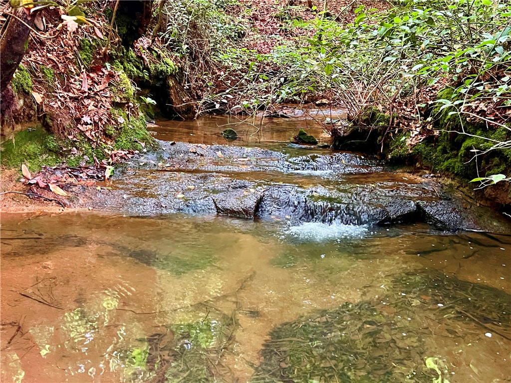 0 Verner Mill Road Mountain Rest, SC 29664 - Photo 35 of 42 Gallery Image 35