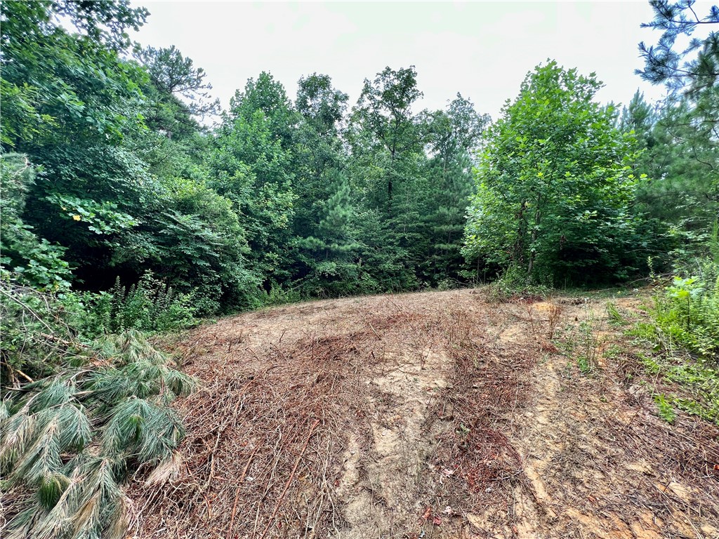 0 Verner Mill Road Mountain Rest, SC 29664 - Photo 36 of 42 Gallery Image 36