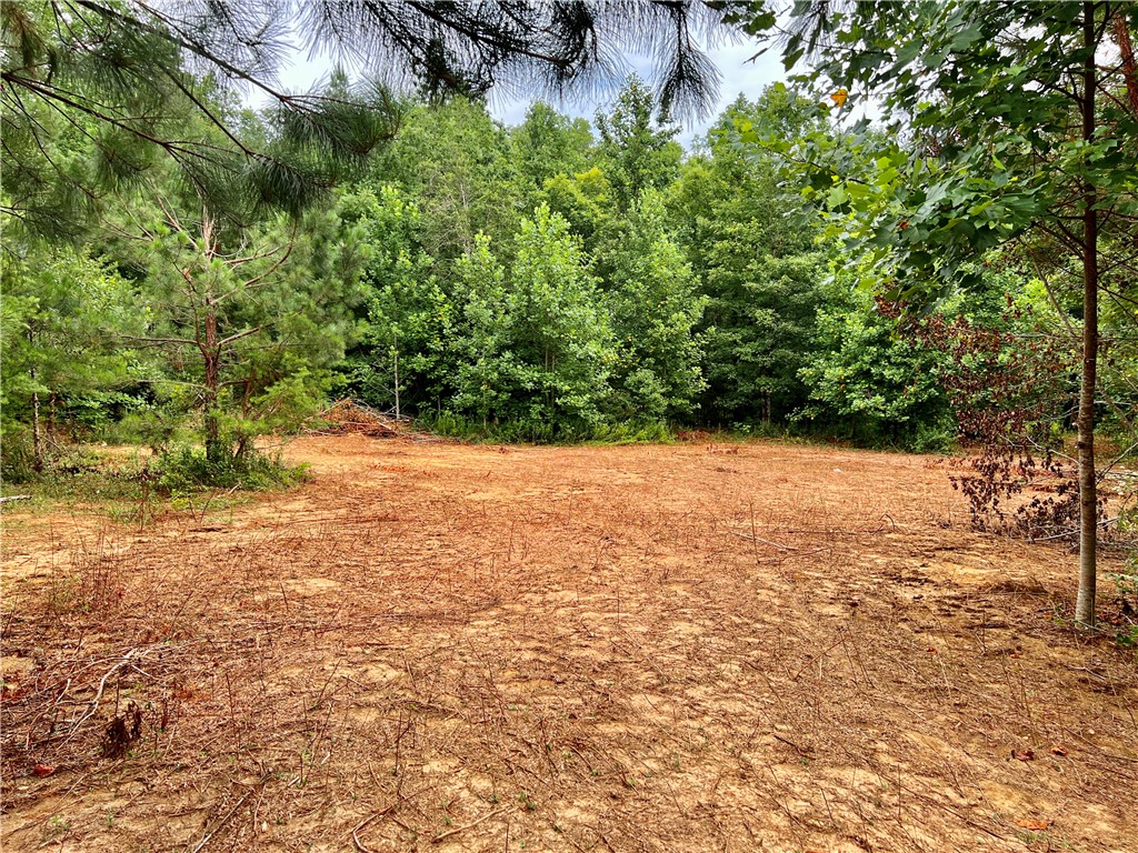 0 Verner Mill Road Mountain Rest, SC 29664 - Photo 37 of 42 Gallery Image 37