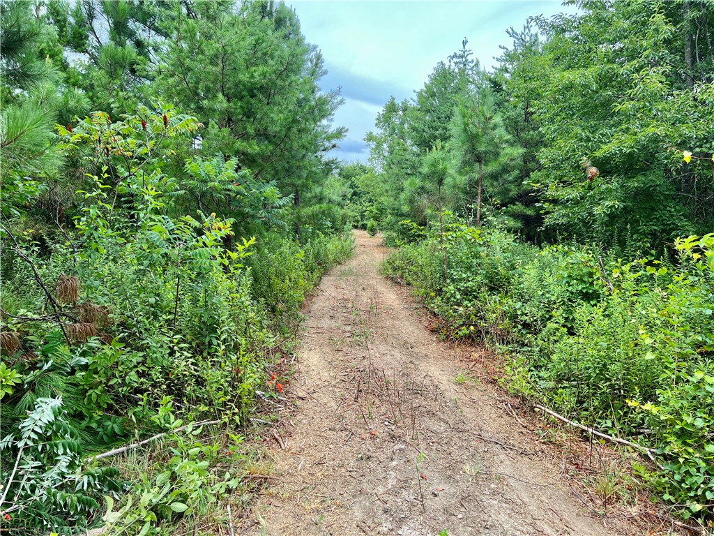 0 Verner Mill Road Mountain Rest, SC 29664 - Photo 38 of 42 Gallery Image 38