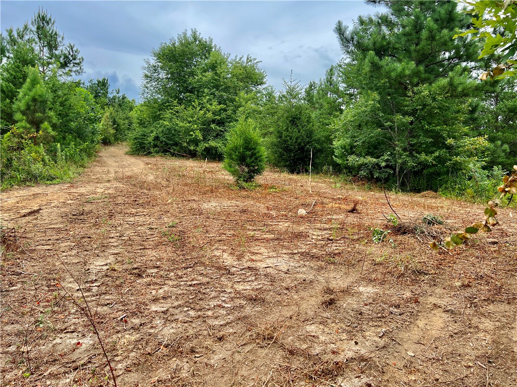 0 Verner Mill Road Mountain Rest, SC 29664 - Photo 39 of 42 Gallery Image 39