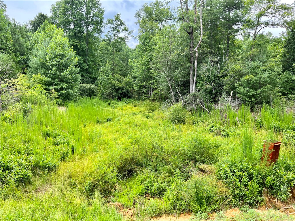 0 Verner Mill Road Mountain Rest, SC 29664 - Photo 40 of 42 Gallery Image 40