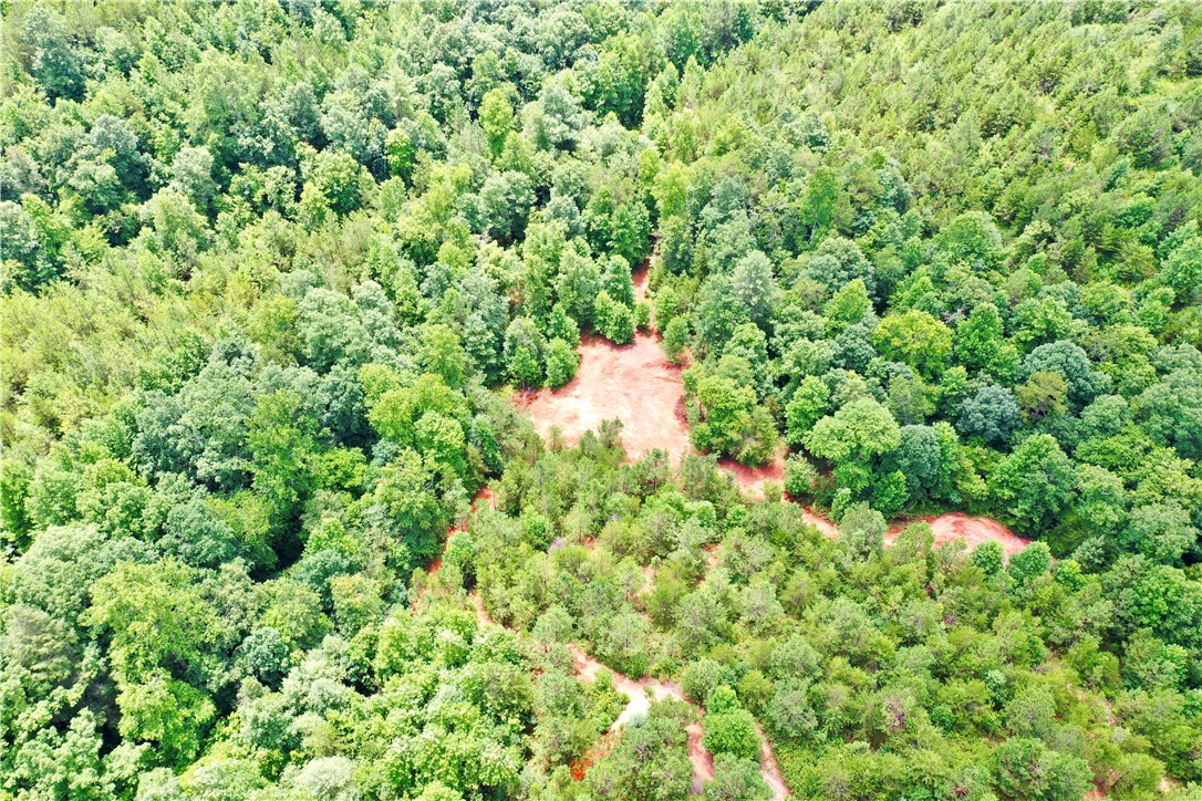 0 Verner Mill Road Mountain Rest, SC 29664 - Photo 4 of 42 Gallery Image 4