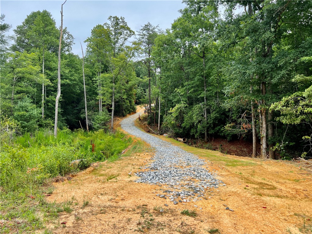 0 Verner Mill Road Mountain Rest, SC 29664 - Photo 42 of 42 Gallery Image 42