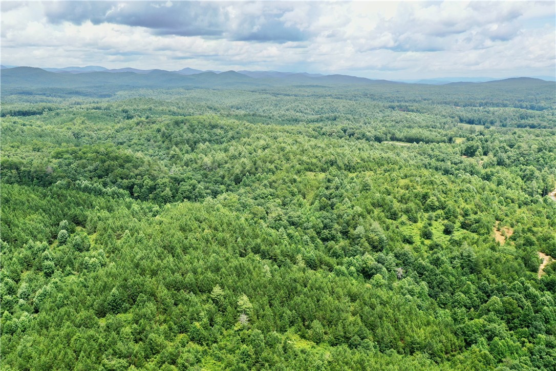 0 Verner Mill Road Mountain Rest, SC 29664 - Photo 5 of 42 Gallery Image 5