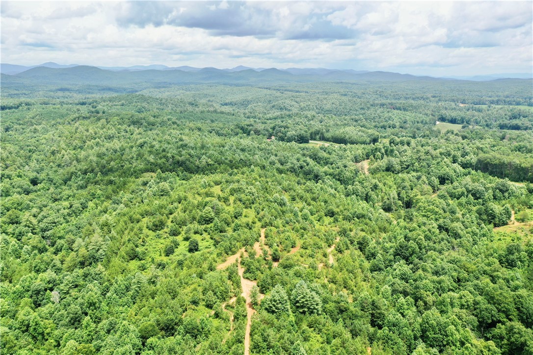 0 Verner Mill Road Mountain Rest, SC 29664 - Photo 10 of 42 Gallery Image 10