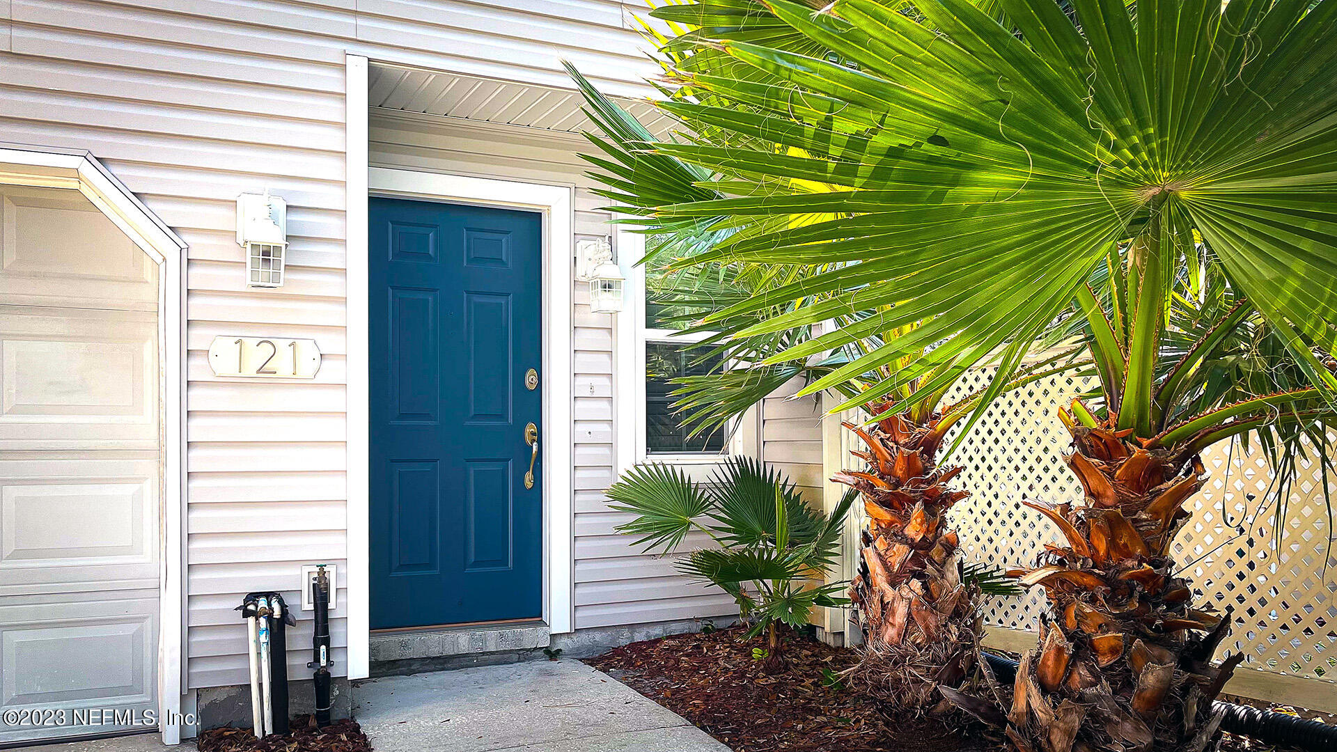a view of a house with a plant
