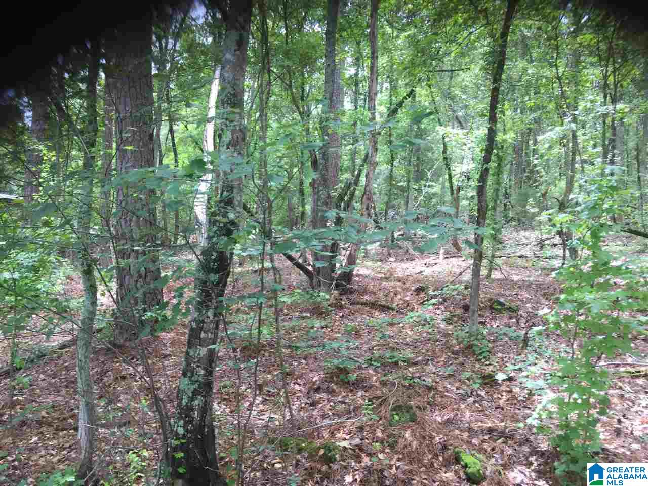Black Acres Road, Unit 34 Odenville, AL 35120 - Photo 12 of 19