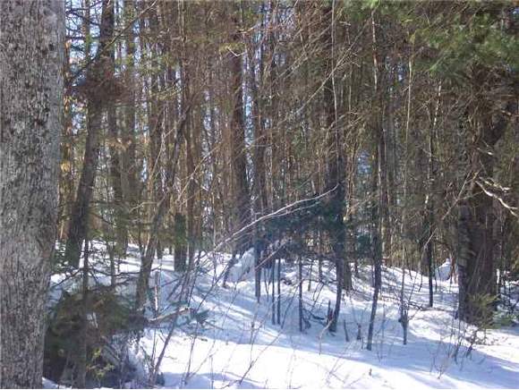 Off Ford Road Whitefield, NH 03584 - Photo 1 of 1