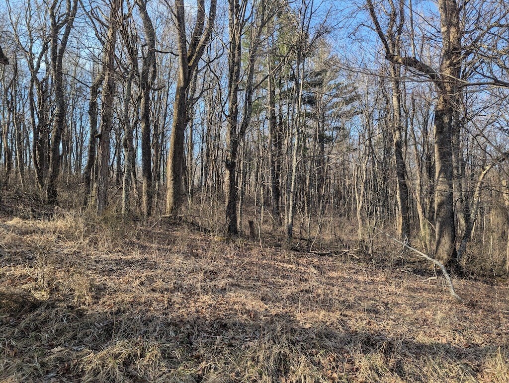 Tbd Coles Knob Road Northeast Pilot, VA 24138 - Photo 12 of 25 Gallery Image 12