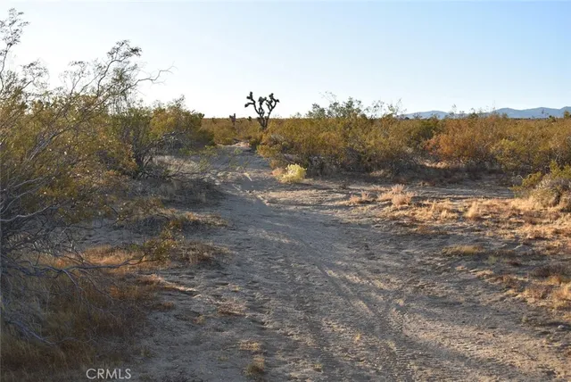 $35,000 | 19300 Astoria Avenue, Rosamond, CA 93560