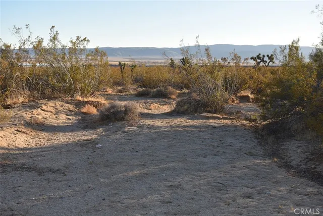 $35,000 | 19300 Astoria Avenue, Rosamond, CA 93560