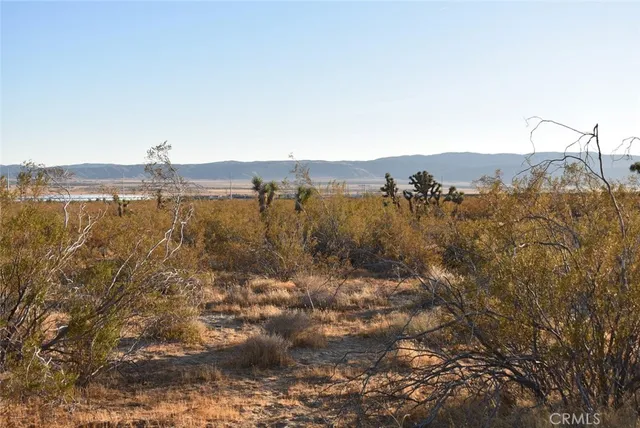 $35,000 | 19300 Astoria Avenue, Rosamond, CA 93560