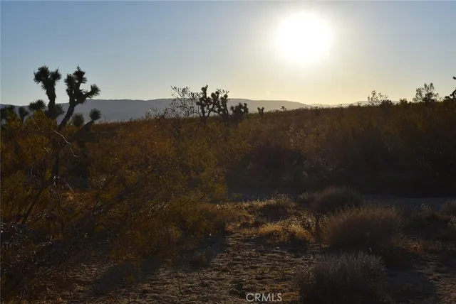 $35,000 | 19300 Astoria Avenue, Rosamond, CA 93560