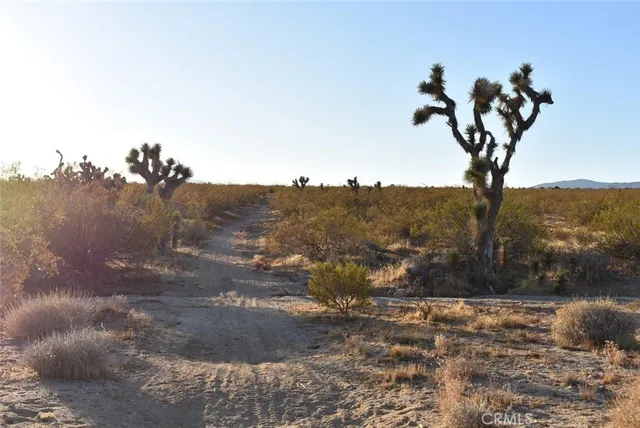 $35,000 | 19300 Astoria Avenue, Rosamond, CA 93560