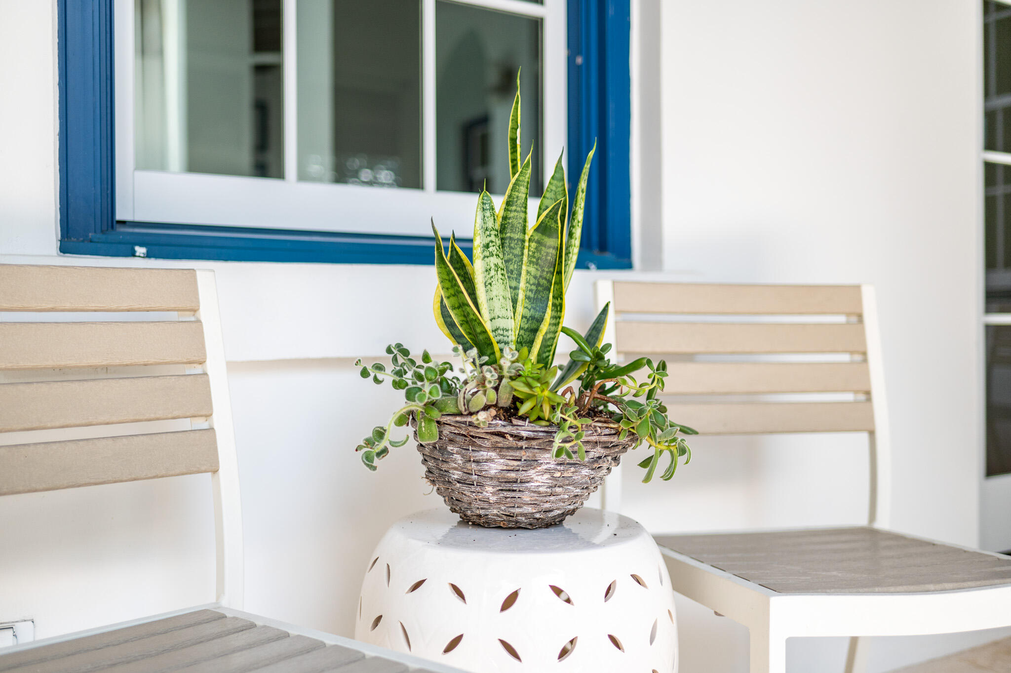 86 North Charles Street, Unit B9 Inlet Beach, FL 32461 - Photo 12 of 60 a view of a vase of flowers sitting on a table