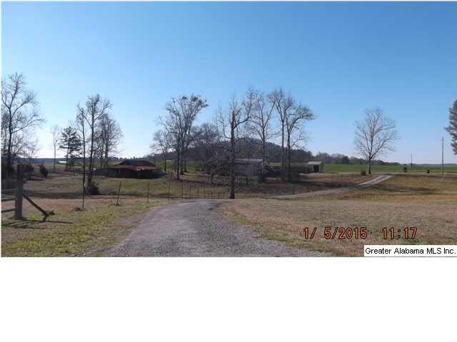 3214 Old Sulphur Springs Road Wellington, AL 36279 - Photo 3 of 14