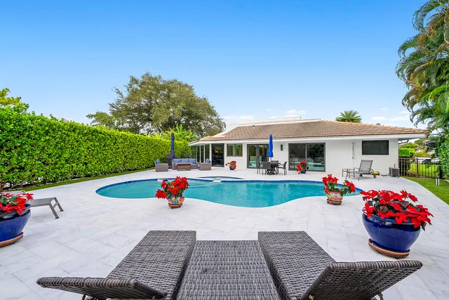 a view of a patio with couches chairs potted plants and a palm tree