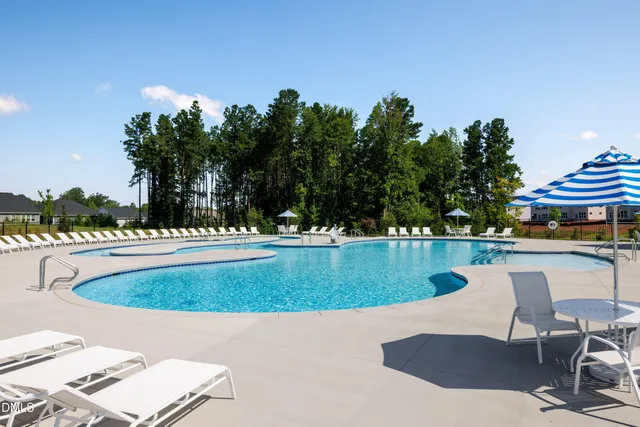 a view of a park with large trees