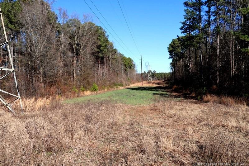 Tbd South Old Wire Road Maxton, NC 28364 - Photo 26 of 38 Photo 26