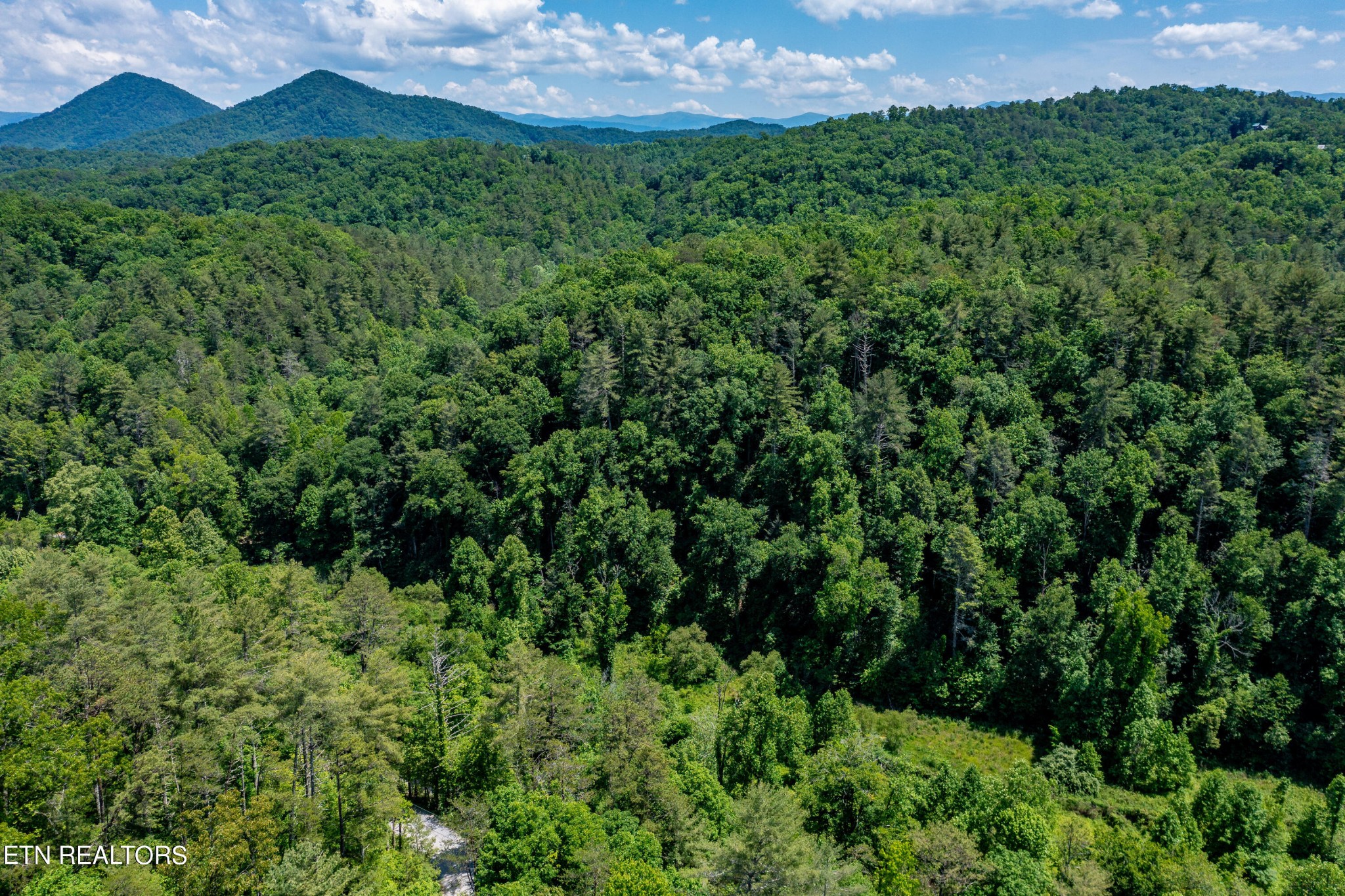 0 Chilhowee Loop Walland, TN 37886 - Photo 14 of 19 Gallery Image 14