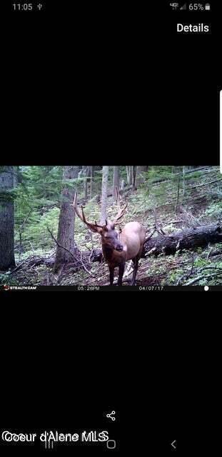 Nna West Reality Loop Coeur D'Alene, ID 83814 - Photo 11 of 16 20230725230503741943000000-o