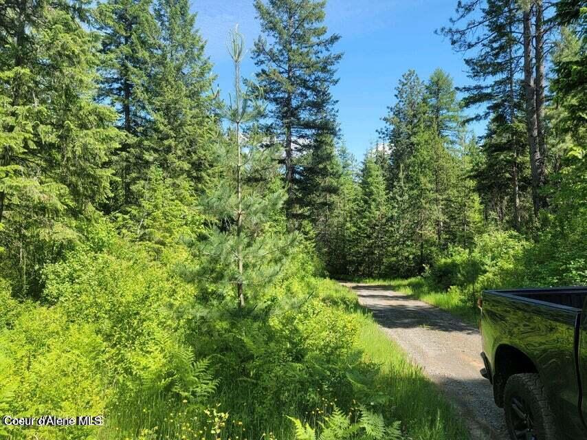 Nna West Reality Loop Coeur D'Alene, ID 83814 - Photo 13 of 16 20230725230457316515000000-o