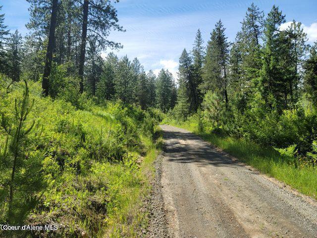 Nna West Reality Loop Coeur D'Alene, ID 83814 - Photo 2 of 16 20230725230510392196000000-o
