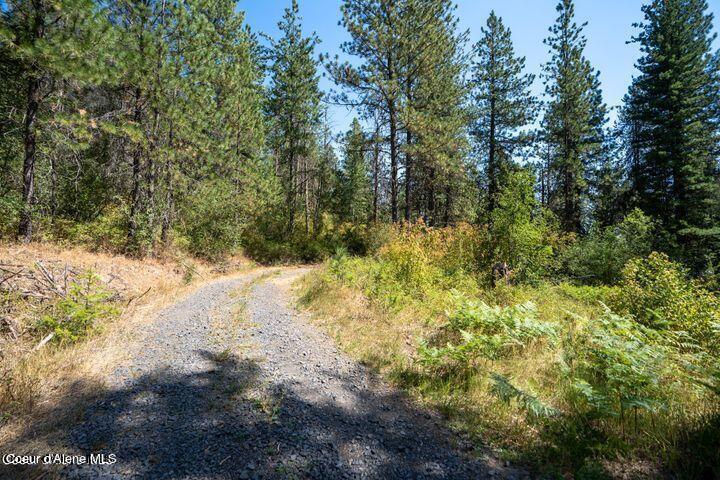 Nna West Reality Loop Coeur D'Alene, ID 83814 - Photo 3 of 16 20230725230442497506000000-o