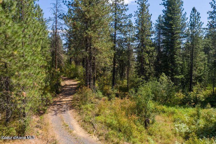 Nna West Reality Loop Coeur D'Alene, ID 83814 - Photo 7 of 16 20230725230514037595000000-o