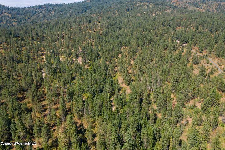 Nna West Reality Loop Coeur D'Alene, ID 83814 - Photo 8 of 16 20230725230527559535000000-o