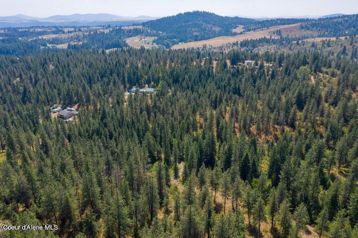 Nna West Reality Loop Coeur D'Alene, ID 83814 - Photo 9 of 16 20230725230524467970000000-o