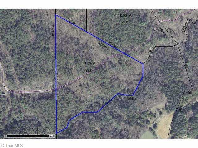 0 Riders Creek Pinnacle, NC 27043 - Photo 2 of 2 Other.