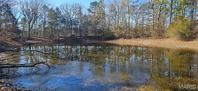 $110,000 | 0 County Road 4160, Salem, MO 65560