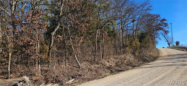 $110,000 | 0 County Road 4160, Salem, MO 65560